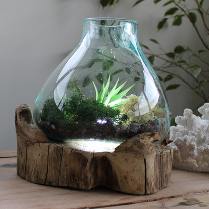 Molten Glass Fish Bowl On Wood Stand – 3.7 L Display Tank