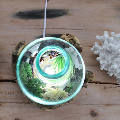 Molten Glass Fish Bowl On Wood Stand – 3.7 L Display Tank