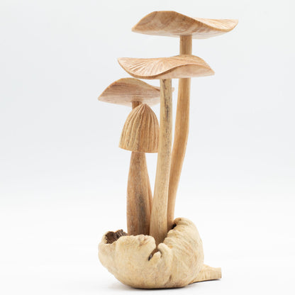 Hand-Carved Parasite Wood Mushroom Sculpture Set
