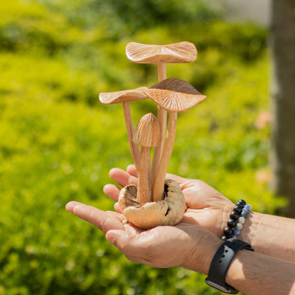 Hand-Carved Parasite Wood Mushroom Sculpture Set